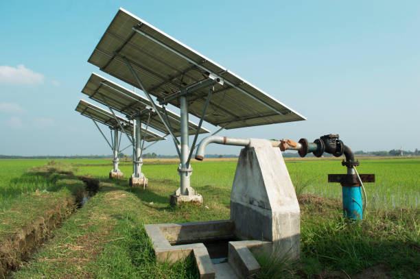 solar pump bg